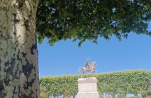 Montpellier guided walking tour 2h (small group)