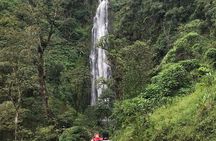 DayTour to Materuni Waterfalls with Coffee & Hotsprings Excursion