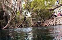 DayTour to Materuni Waterfalls with Coffee & Hotsprings Excursion