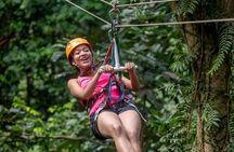 St. Lucia 3 in 1 Combo: Aerial Tram, Rainforest Trail & Zipline 