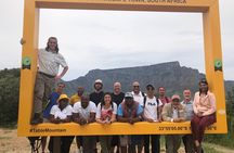 Private Day tour of the Cape. Our reviews show why people book!