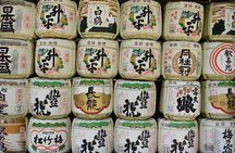Private Full Day Tour in Kyoto with a Local Travel Companion