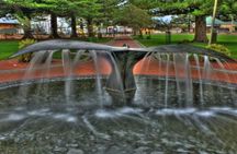 Victor Harbor and Fleurieu Peninsula Tour