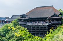 From Tokyo to Kyoto and Nara: A Captivating Full-Day Private Tour