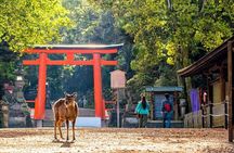 From Tokyo to Kyoto and Nara: A Captivating Full-Day Private Tour