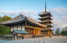 From Tokyo to Kyoto and Nara: A Captivating Full-Day Private Tour