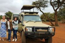 4-Day Masai Mara Safari adventure