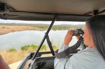 4-Day Masai Mara Safari adventure