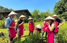 Authentic Thai Cooking Class and Farm Visit in Chiang Mai