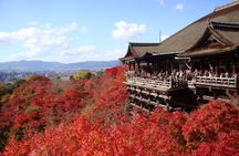 PERFECT KYOTO 1-Day Bus Tour