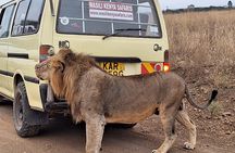  5 hours Nairobi national park drive