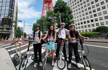 Private Half-Day Grand Bike Tour in Tokyo 