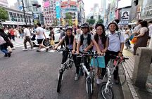 Private Half-Day Grand Bike Tour in Tokyo 