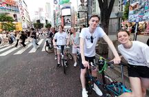 Private Half-Day Grand Bike Tour in Tokyo 