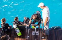 Scuba Diving Experience in Antalya with Lunch and Transfer 