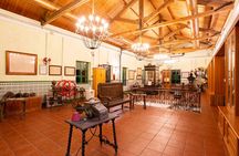 Paella, Olive Oil, Wine & Relax in Rural Estate outside Madrid