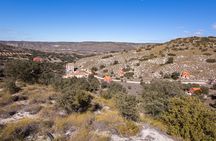 Paella, Olive Oil, Wine & Relax in Rural Estate outside Madrid
