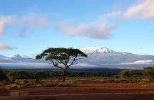 2 Days Amboseli Park Overnight Private Safari