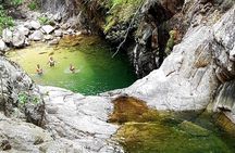 4-Hour Jungle Hike and Waterfall Swim
