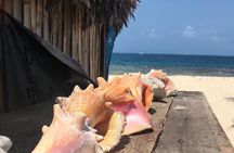 Full Day Tour San Blas Islands, Guna Yala with Paddle Board