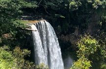 Kauai Eastside & Waterfalls-Shared Small Group Tour