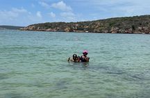 Full Day Vamos Pa la Isla Southwest Experience 