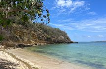 Full Day Vamos Pa la Isla Southwest Experience 