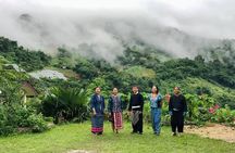 Half day Long Neck hill tribe and Hmong hill tribe village