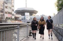 Private Customized Tour with Local Guide In Osaka