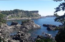 JEJU TAXI TOUR - East of jeju ( Included Drop-off Jeju Airport )