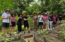 Cooking Class with Organic Farm in Chiang Mai