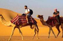 Dinner Party Super Safari Jeep, Quad & Camel Ride at Marsa Alam
