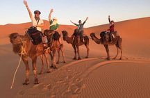 2 Day Desert Trip from Fez to Marrakech via Merzouga