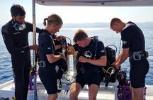 Boat Dive 2 Guided Dives with Lunch Included wreck dive&reef dive