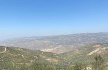1 Day Tour to Amman Jerash and Ajloun castle 