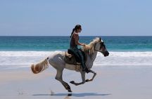 Safari & Barigona Beach on horseback