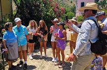 North Corfu Olive Tour With Olive oil Tasting & Meze
