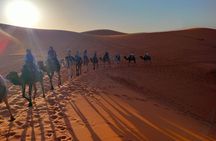LET'S GO Tour MARRAKECH to DESERT TO FES 3 Days