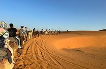 LET'S GO Tour MARRAKECH to DESERT TO FES 3 Days