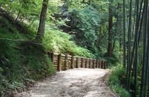1-Day Tour from Matsumoto: Walk the Nakasendo Trail