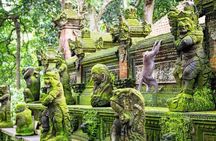 Bali ATV Quad Bike Ubud Swing & Monkey Forest All Inclusive