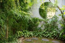 TULA Wellness Half Day Experience with Sound Healing