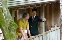 Private Sightseeing Guided Tour in Kyoto