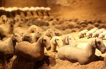 Terra-cotta warriors museum and yang ling mausoleum 