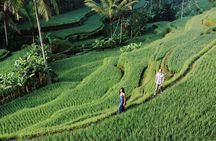 Private Tour Top Sights of Bali in One Day