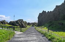 Whale Watching and Golden Circle Tour from Reykjavik
