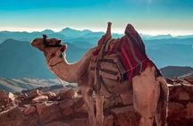 Hiking Sinai Mount desert camping & adventure trekking 7 days.