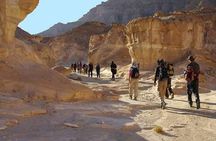 Hiking Sinai Mount desert camping & adventure trekking 7 days.