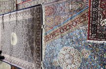 Private Half Day Delhi -City Tour including Entrance Fees
