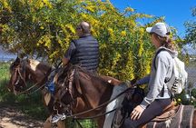 Adventure Delight The Ultimate Combo Ride at Desert Trails